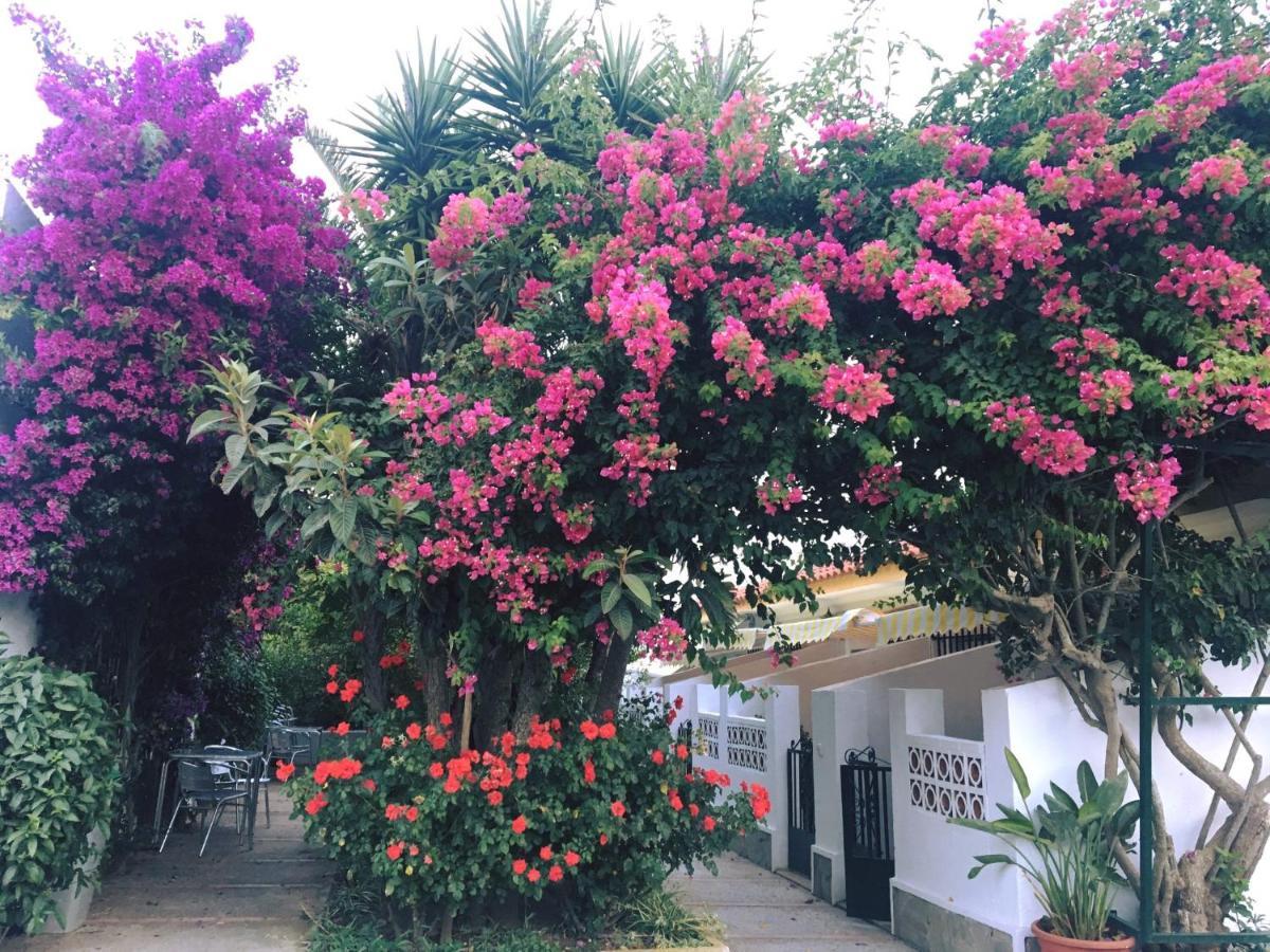 Hotel Antonio Conil Conil De La Frontera Eksteriør bilde